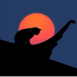 Meet your Posher, Bella